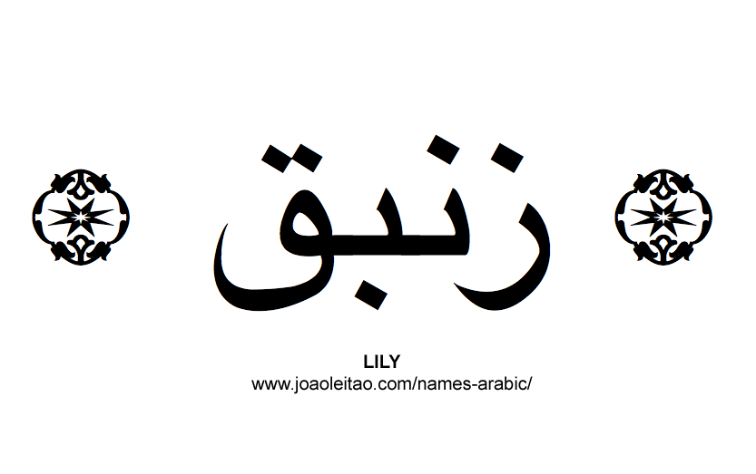 Flowers in Arabic: Arabic LILY