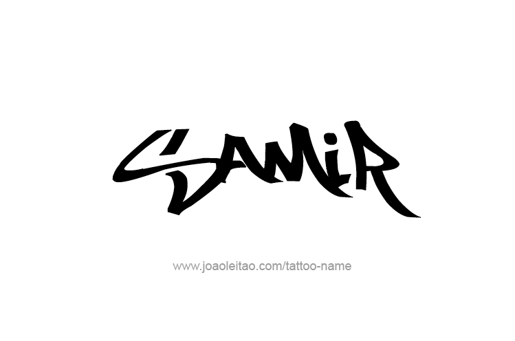 It Company Logo Design for Sameer by ergo  Design 7387475
