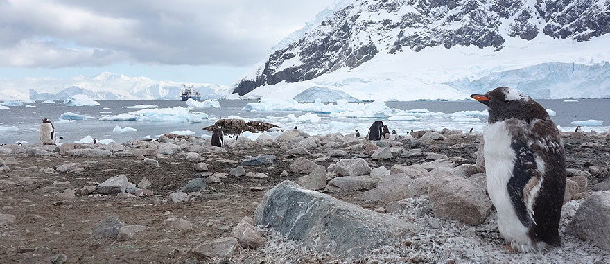 Inspiring Places to Visit in Antarctica - Travel Guide