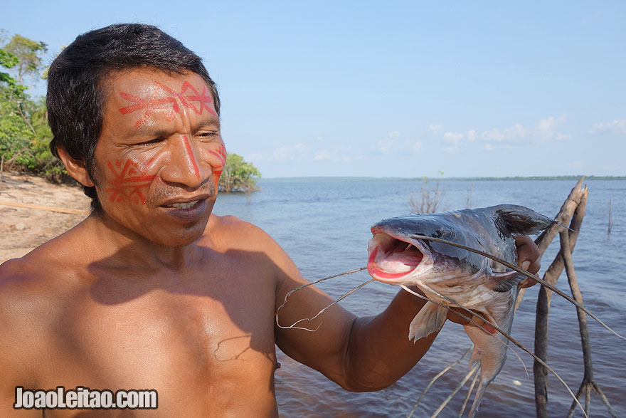 Fishing the redtail catfish